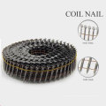 Nouveau design Screw Shank Wire Coil Nails avec un bon prix